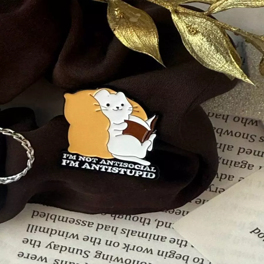 Пин "Кот на подушке"Купить 
